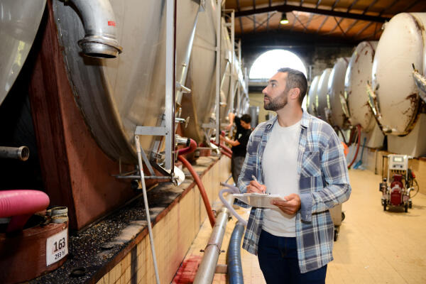 Winzer prüft Weinlager Winzer prüft Weinlager